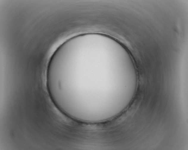 X0000113891512200910081757