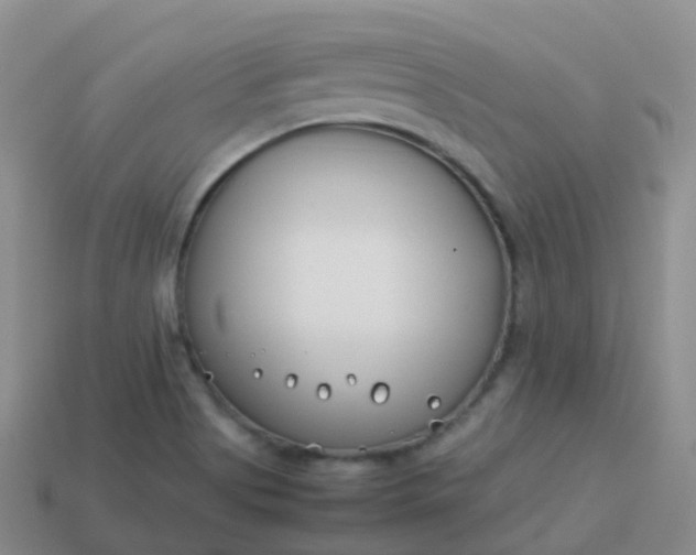 X0000113891513200910081757