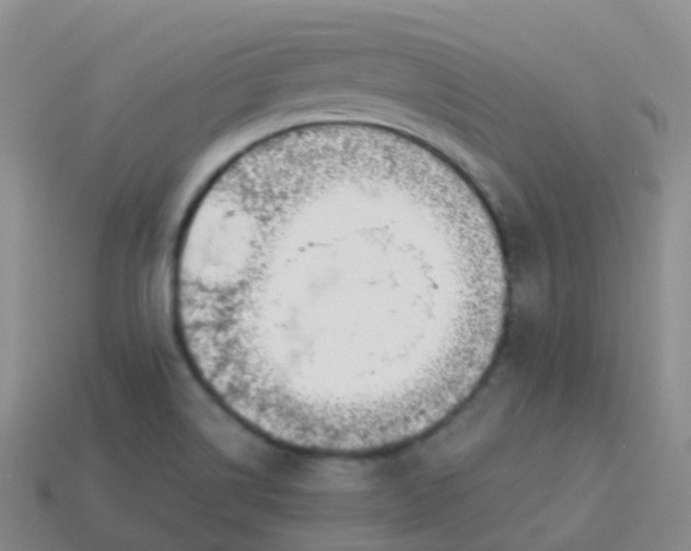 X0000113891514200910081757