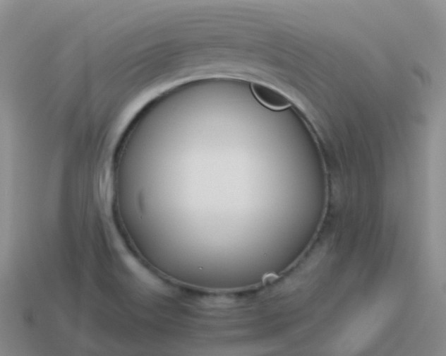 X0000113891515200910081757