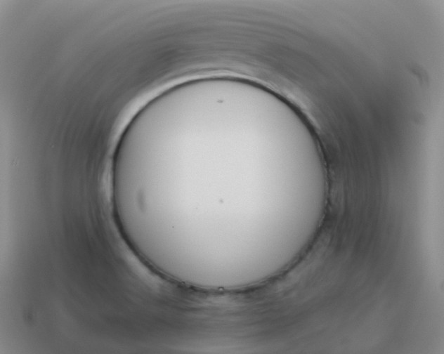 X0000113891516200910081757