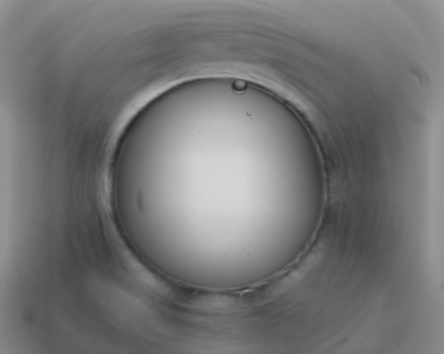 X0000113891517200910081757