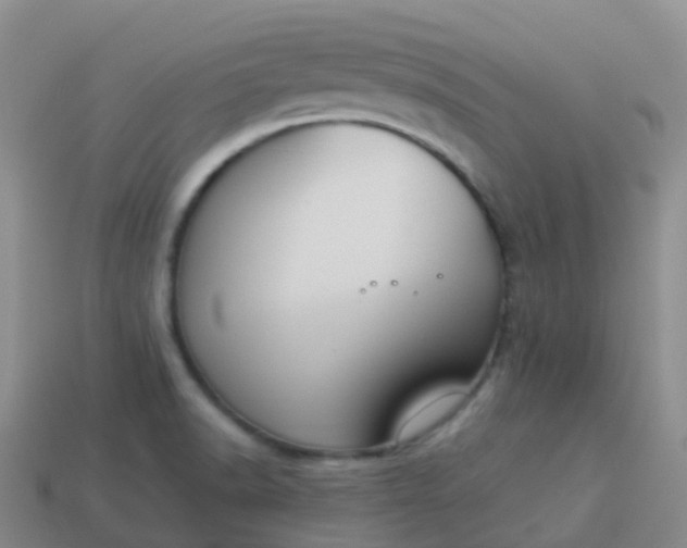 X0000113891518200910081757