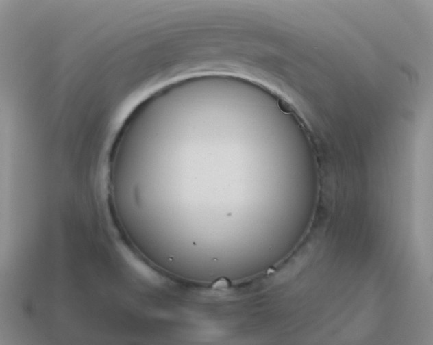 X0000113891519200910081757