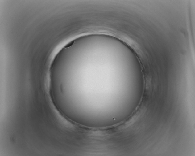 X0000113891520200910081757