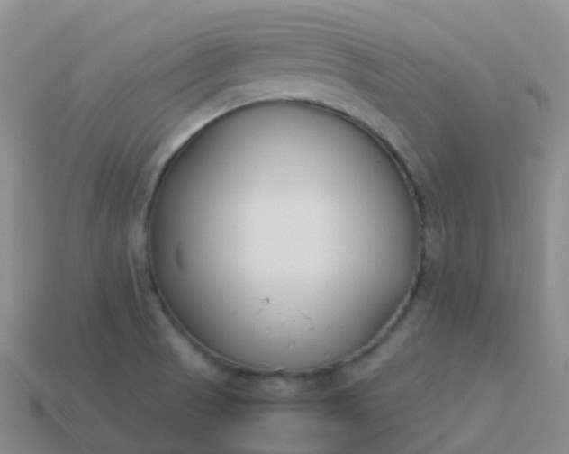 X0000113891521200910081757