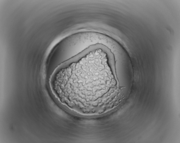 X0000113891522200910081757