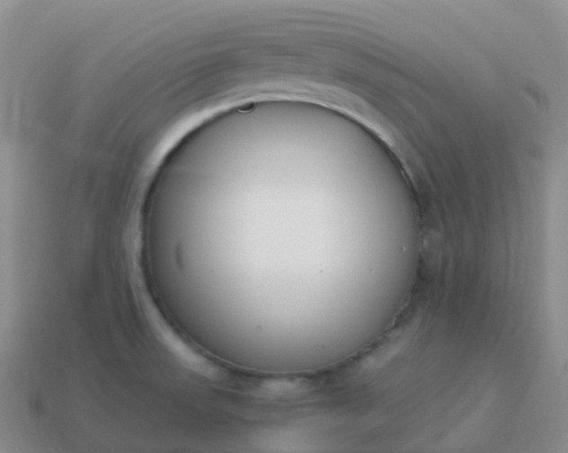 X0000113891523200910081757