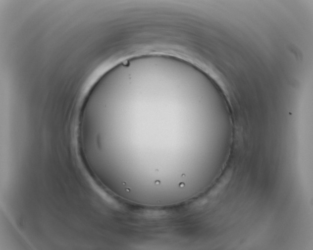 X0000113891525200910081757