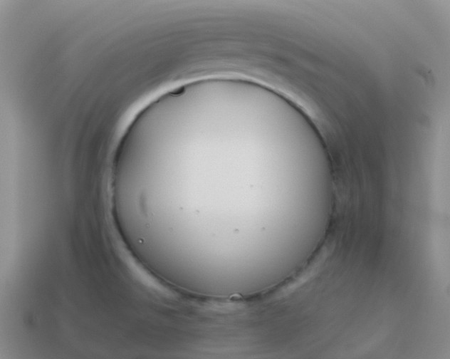 X0000113891526200910081757