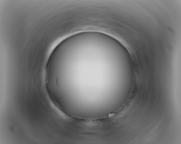 X0000113891527200910081757