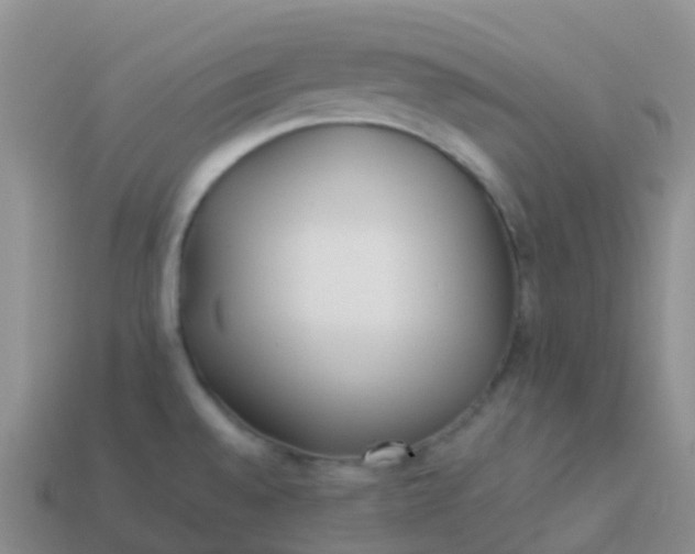 X0000113891528200910081757