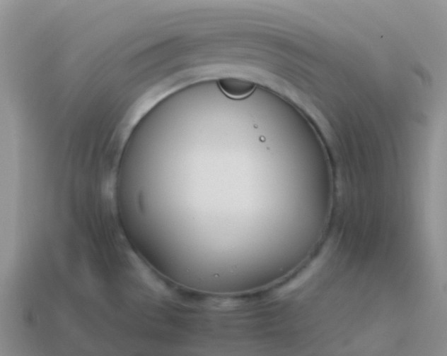 X0000113891529200910081757