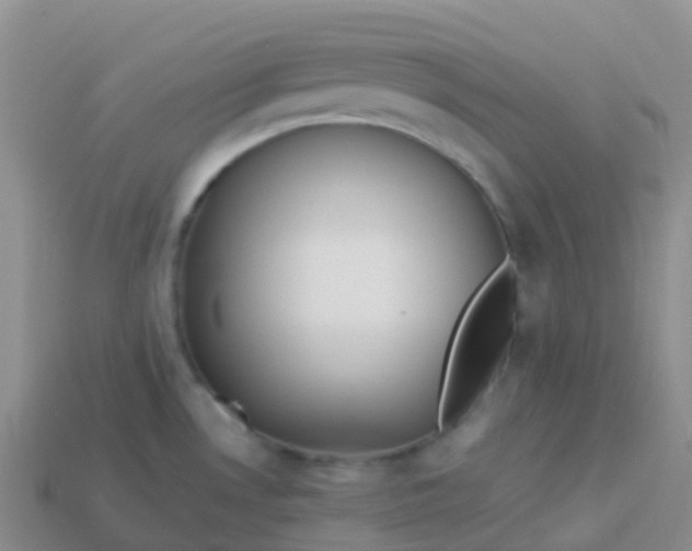 X0000113891530200910081757