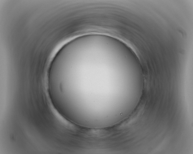 X0000113891531200910081757