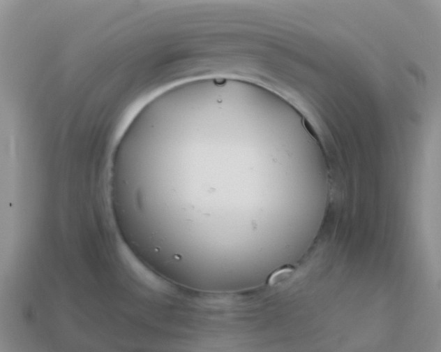 X0000113891532200910081757