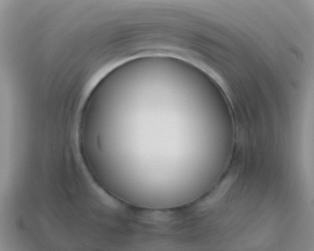 X0000113891533200910081757