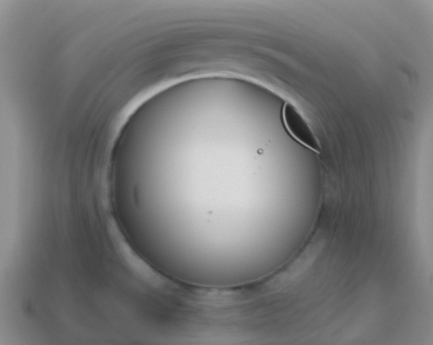 X0000113891534200910081757