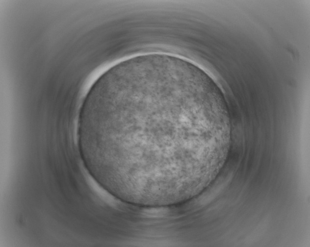 X0000113891535200910081757