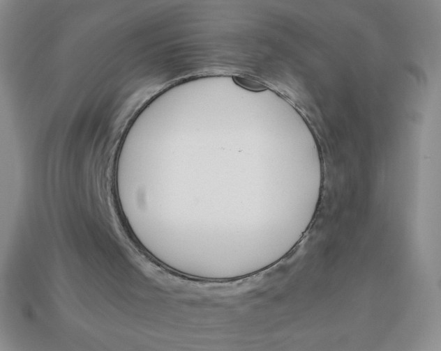 X0000113890001200910151344