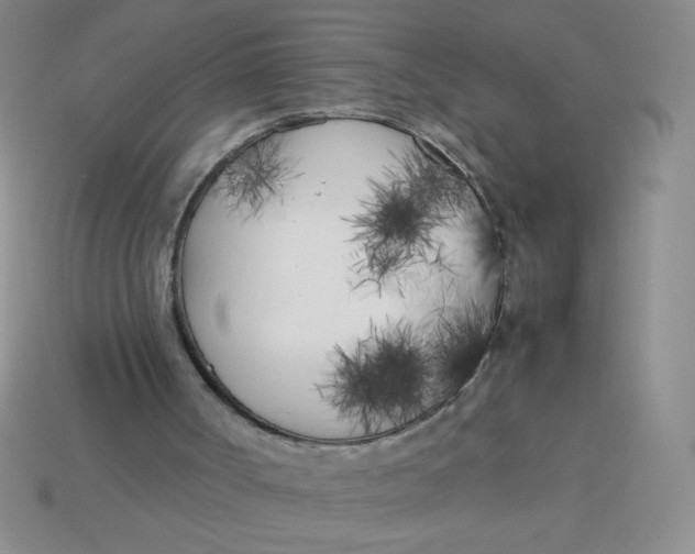 X0000113890002200910151344
