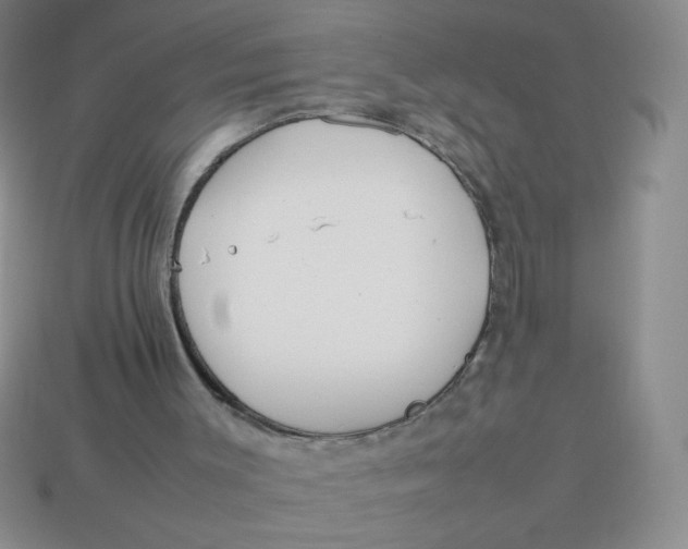 X0000113890003200910151344