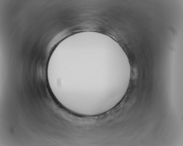 X0000113890004200910151344