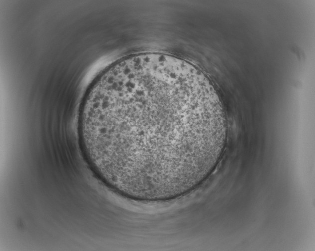 X0000113890006200910151344