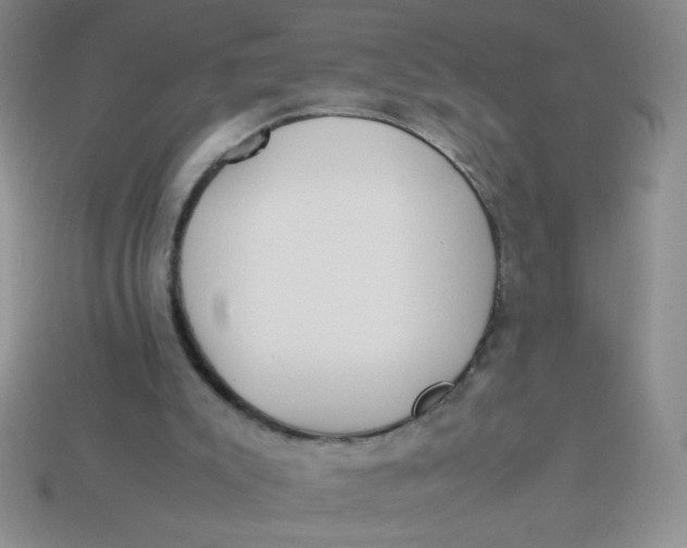 X0000113890007200910151344