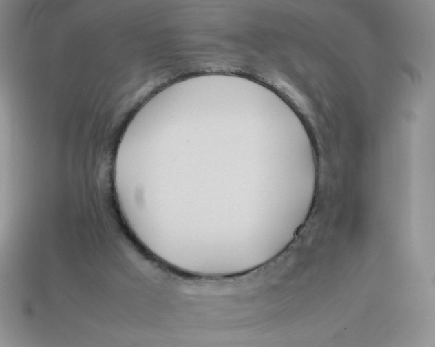 X0000113890009200910151344
