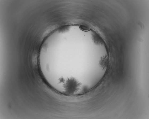 X0000113890010200910151344