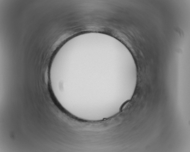 X0000113890011200910151344