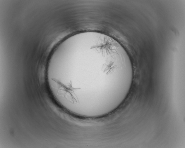 X0000113890012200910151344