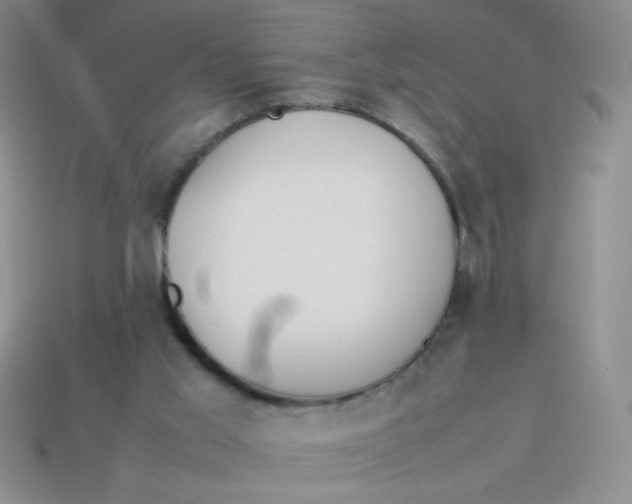 X0000113890013200910151344