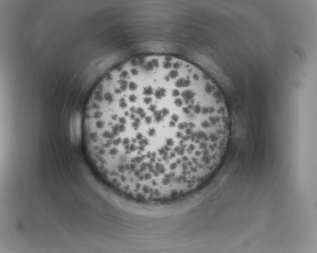 X0000113890014200910151344