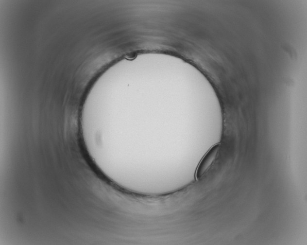 X0000113890015200910151344
