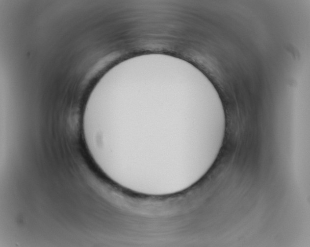 X0000113890016200910151344