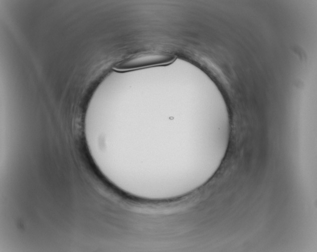 X0000113890017200910151344
