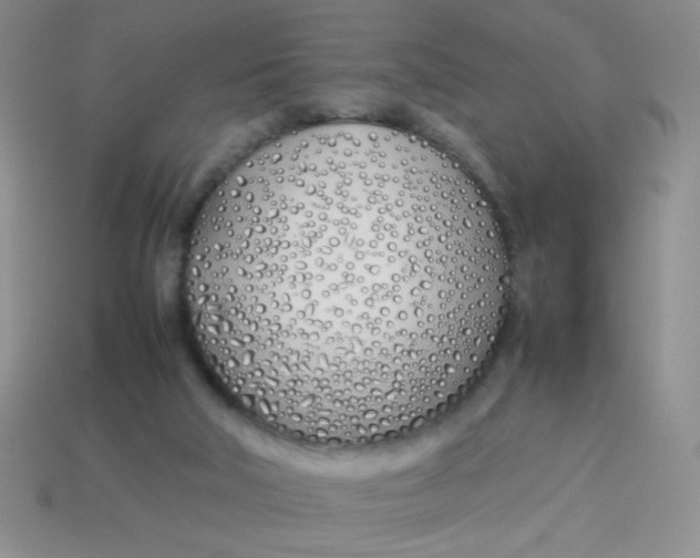 X0000113890018200910151344