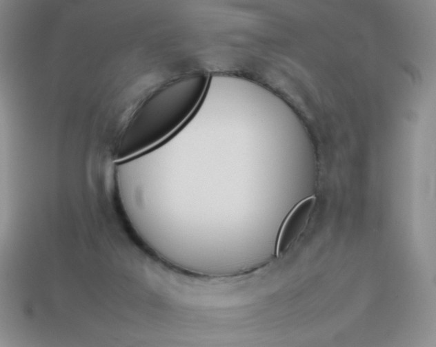 X0000113890019200910151344