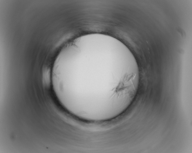 X0000113890020200910151344