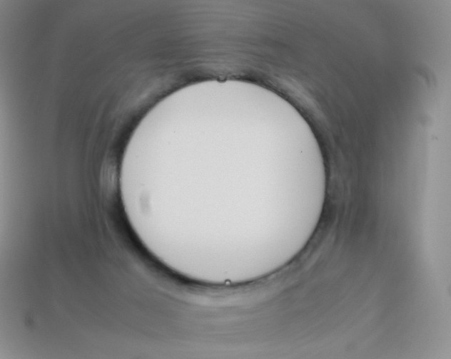 X0000113890021200910151344