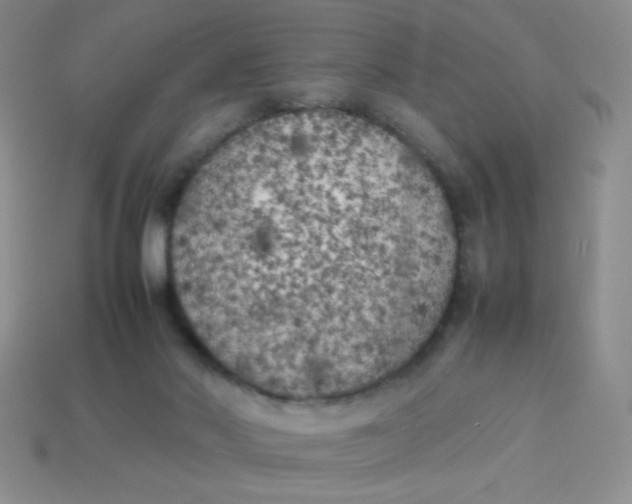 X0000113890022200910151344