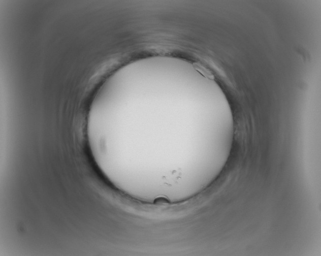 X0000113890023200910151344