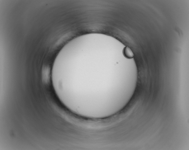X0000113890024200910151344
