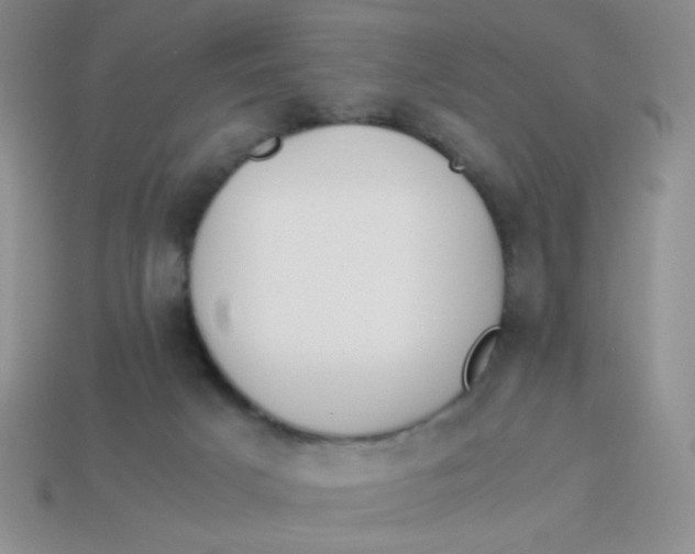 X0000113890025200910151344