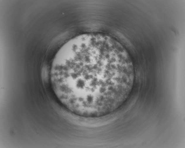 X0000113890026200910151344