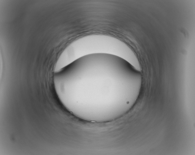 X0000113890029200910151344