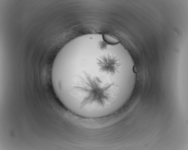 X0000113890030200910151344
