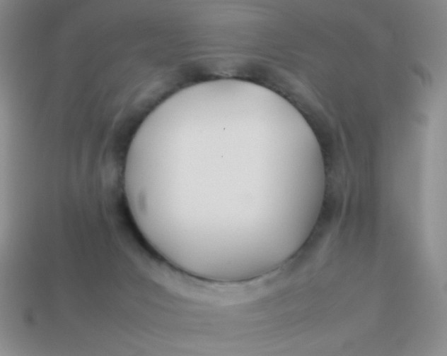 X0000113890031200910151344